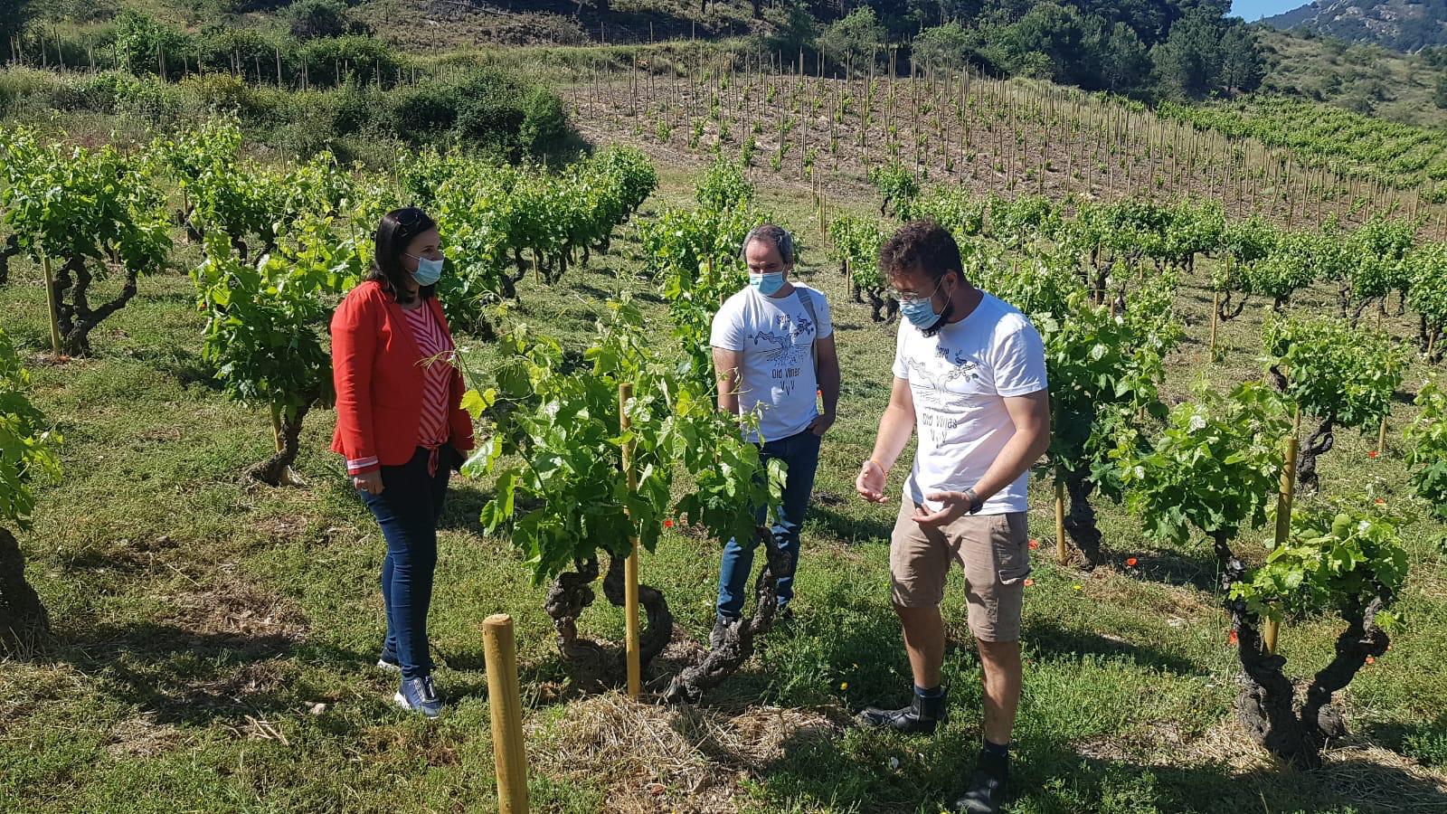 Carmen Urbano, directora general de Promoción e Innovación Agroalimentaria de Gobierno de Aragón visita el proyecto del Master of Wine aragonés Fernando Mora