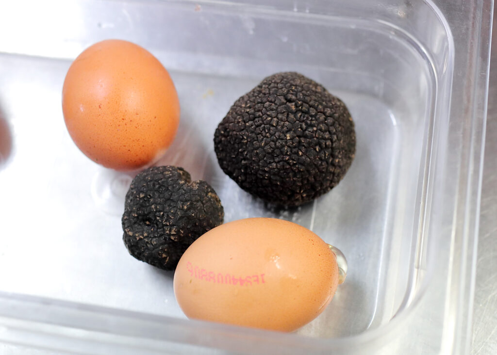 Huevos trufados con Tuber melanosporum de Aragón