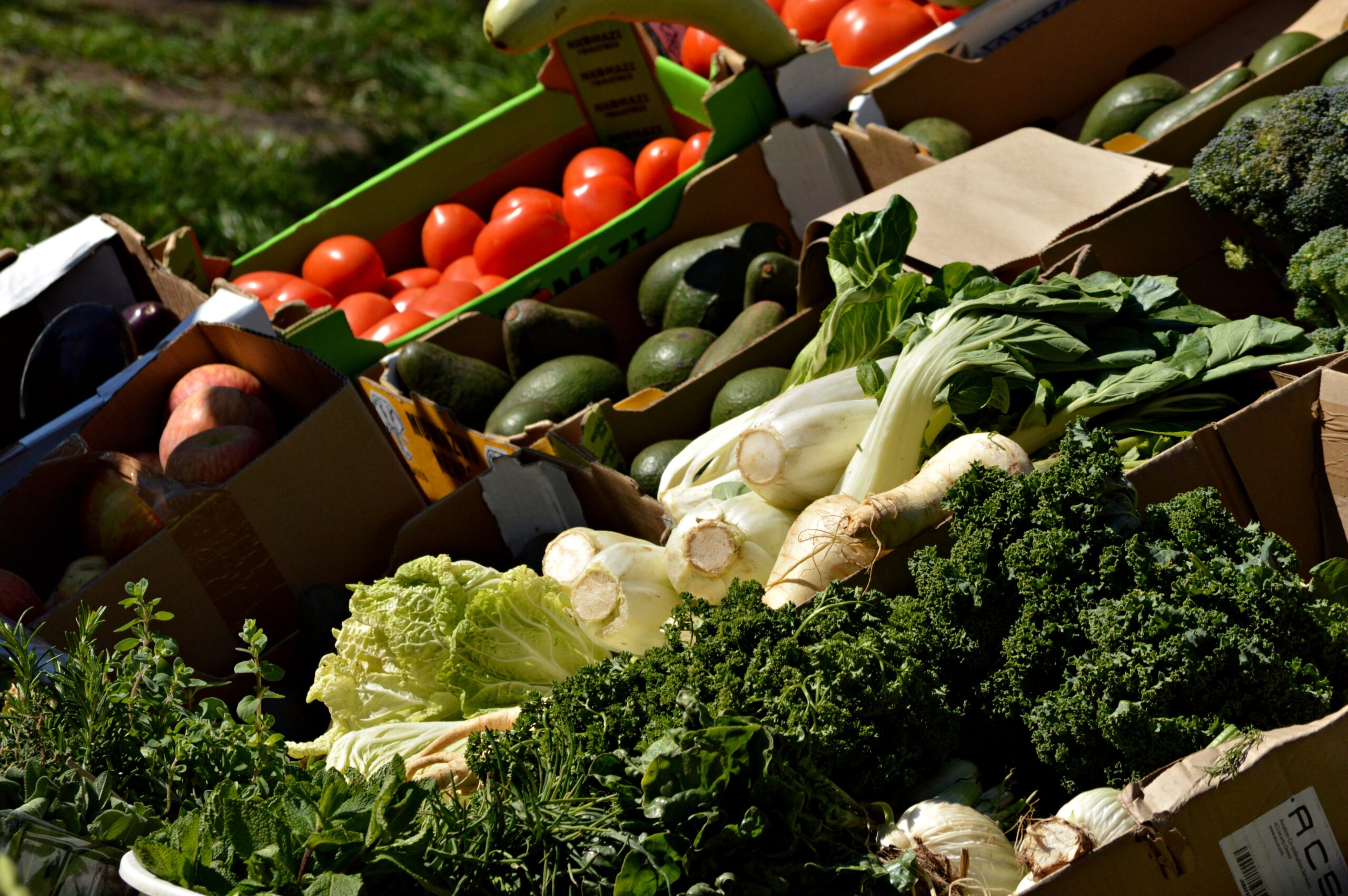 año frutas y verduras gobierno de Aragón