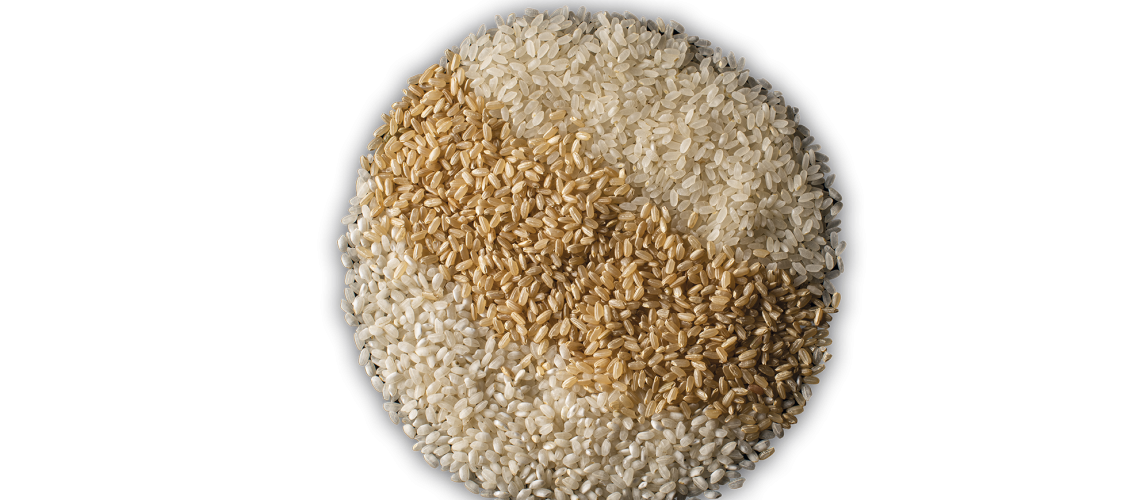 ALIMENTOS-CENITAL-CAPAS-72ppp-RGB-Con-Sombra-Arroz.png