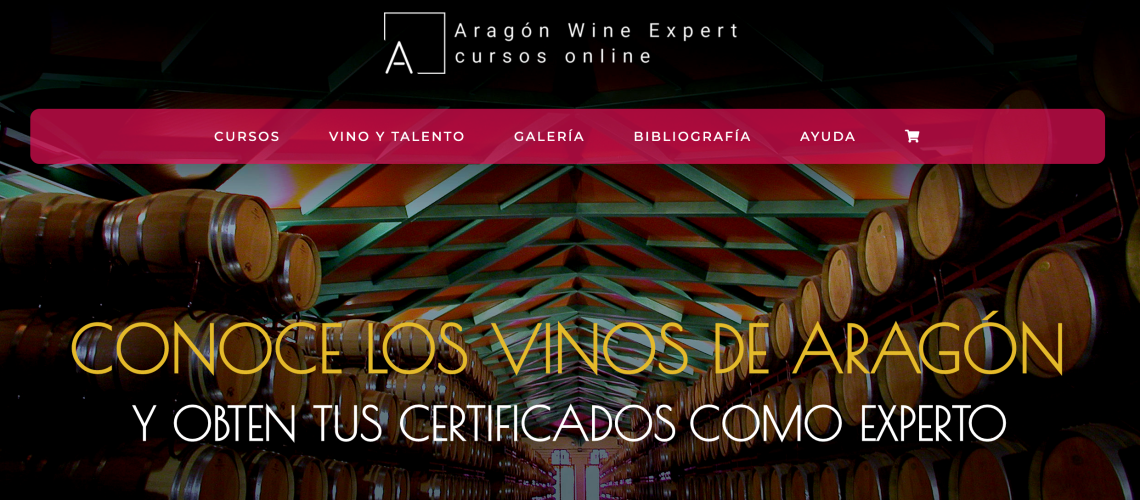 aragon wine expert formación online